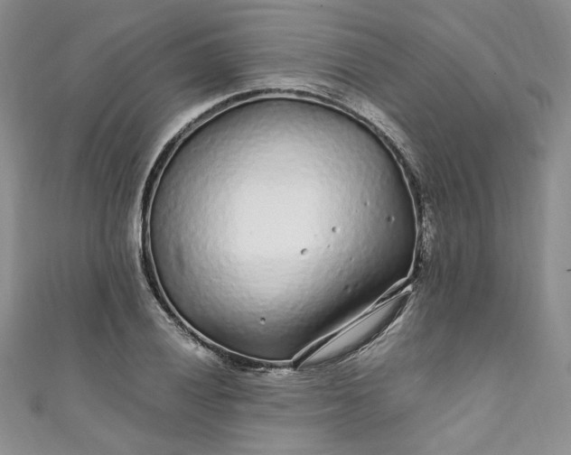 X0000111471028200907271307