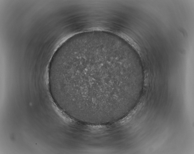 X0000111471031200907271307