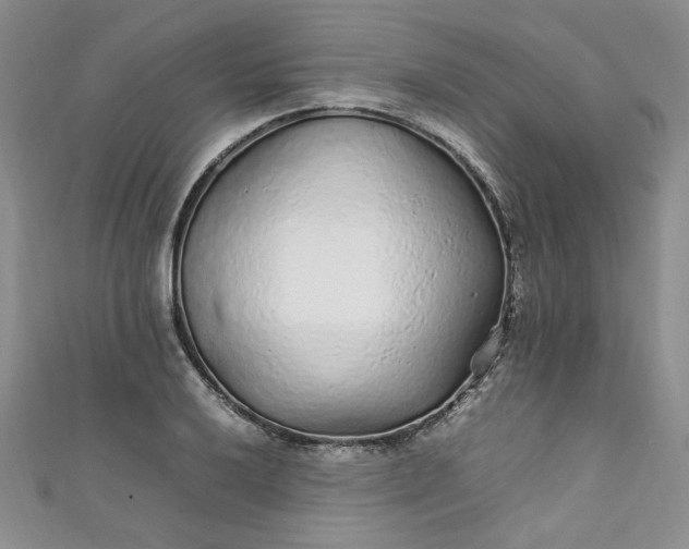 X0000111471032200907271307