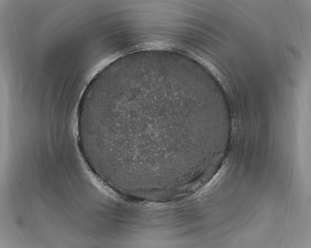 X0000111471034200907271307