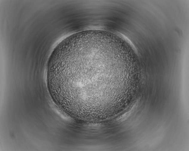 X0000111471035200907271307