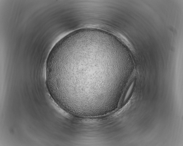 X0000111471036200907271307