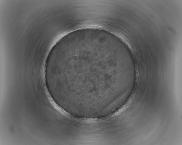 X0000111471038200907271307