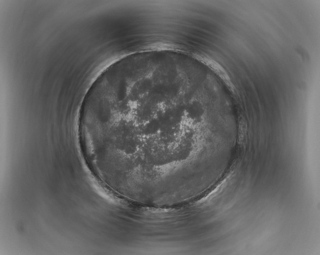 X0000111471039200907271307