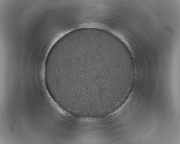 X0000111471040200907271307