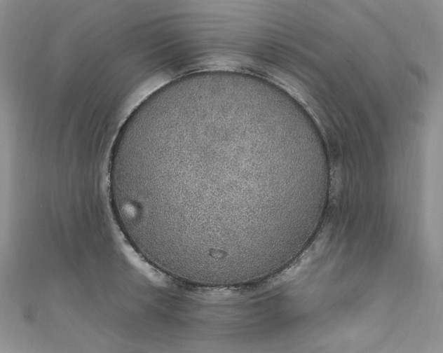 X0000111471042200907271307