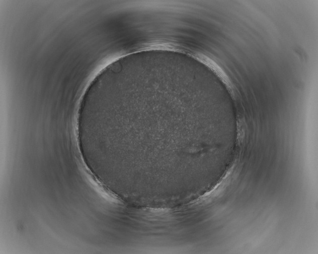 X0000111471043200907271307