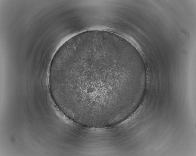 X0000111471044200907271307