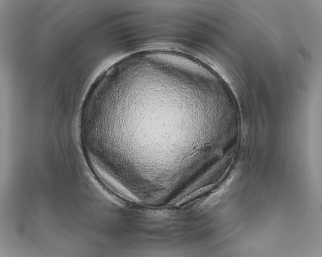 X0000111471045200907271307