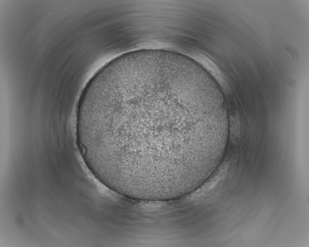 X0000111471046200907271307