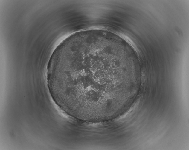 X0000111471047200907271307