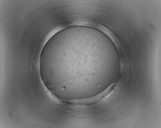 X0000111471050200907271307