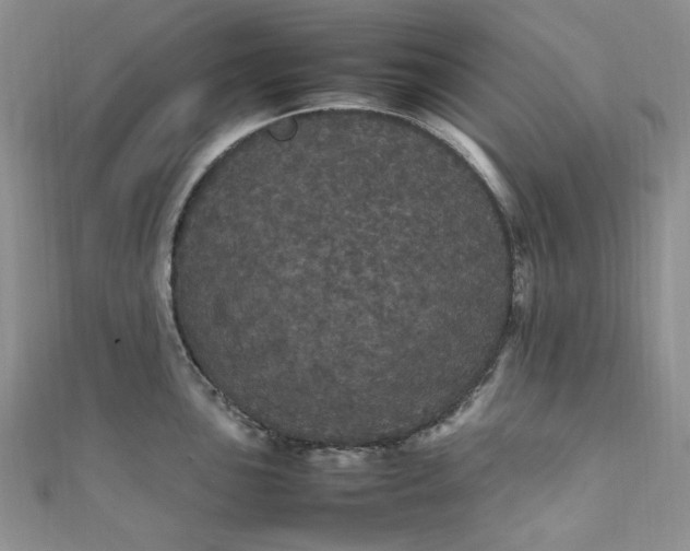 X0000111471051200907271307