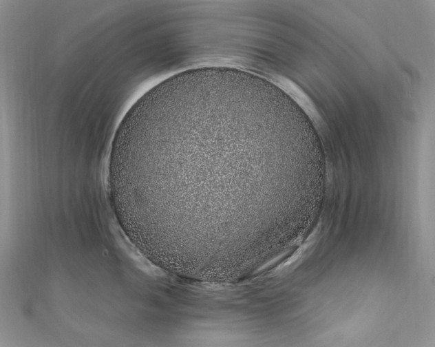 X0000111471052200907271307