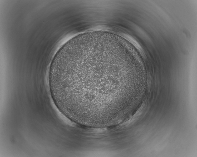 X0000111471055200907271307