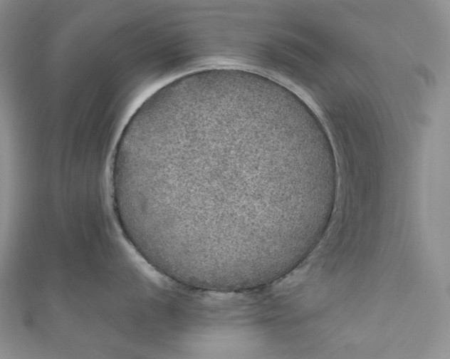 X0000111471056200907271307