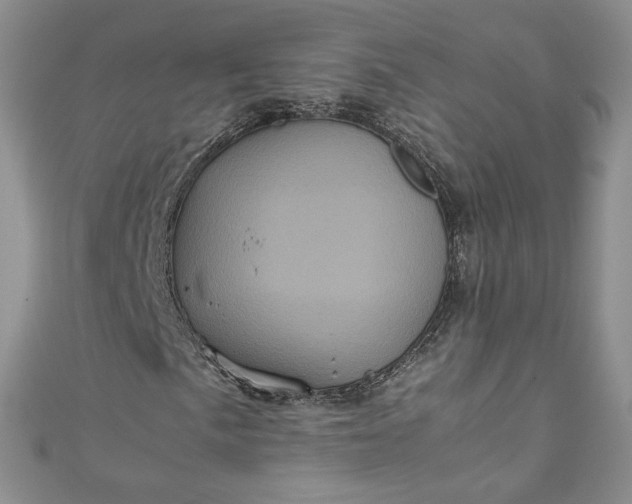 X0000111471057200907271307