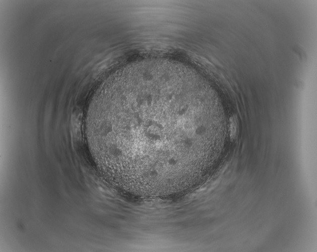 X0000111471059200907271307