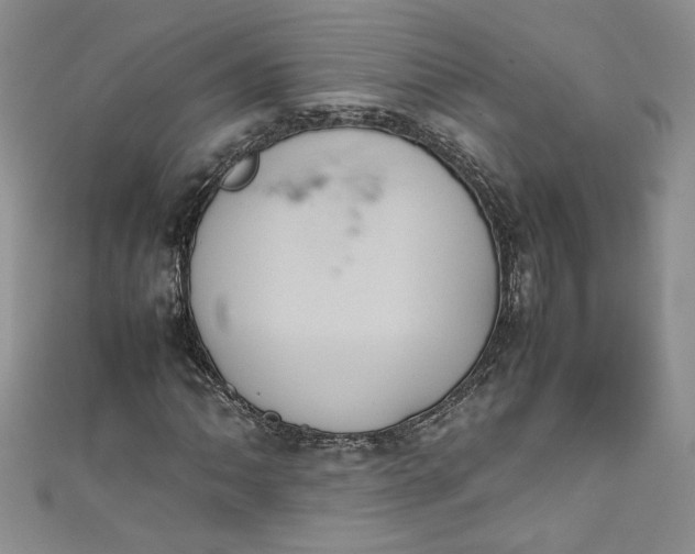 X0000111471062200907271307