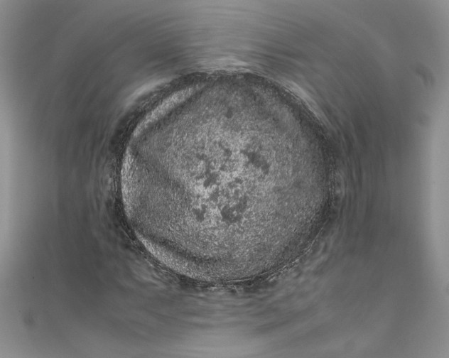 X0000111471063200907271307