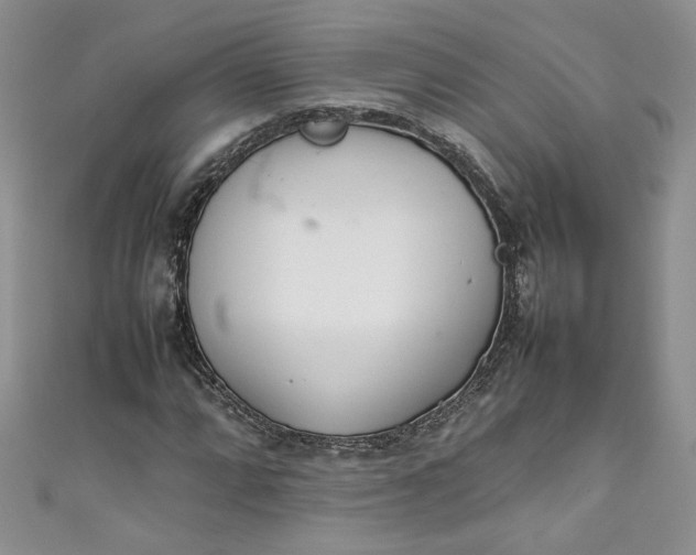 X0000111471064200907271307