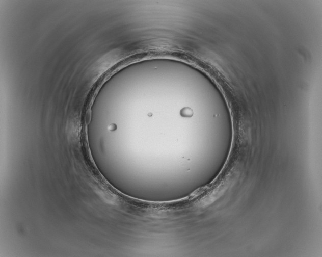 X0000111471065200907271307