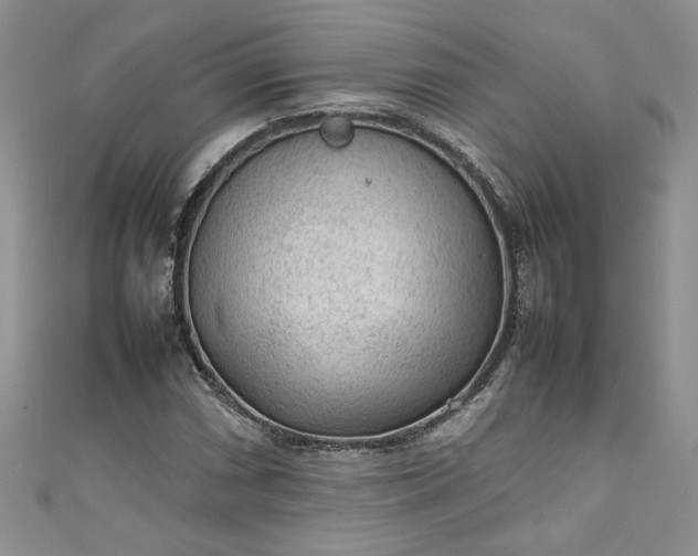 X0000111471066200907271307