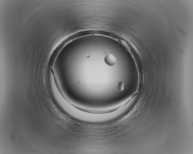 X0000111471069200907271307