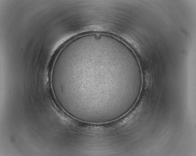 X0000111471070200907271307