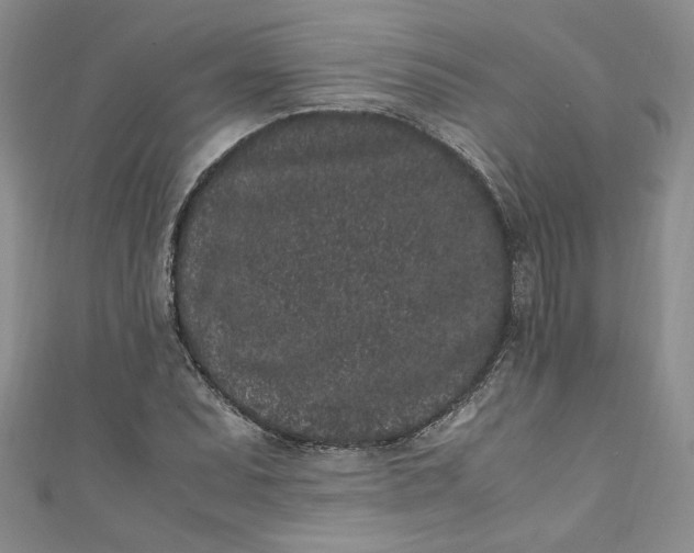 X0000111471071200907271307