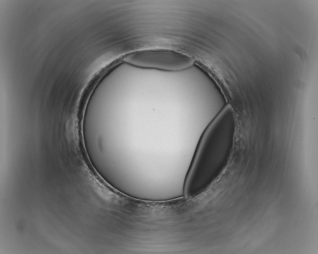 X0000111471072200907271307