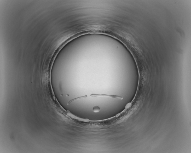 X0000111471073200907271307