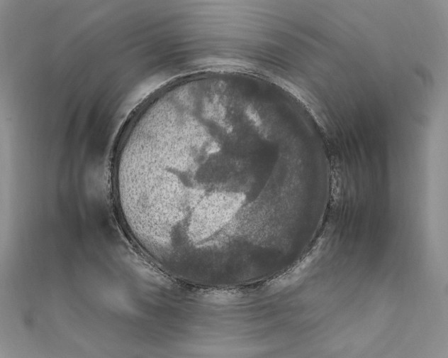 X0000111471074200907271307