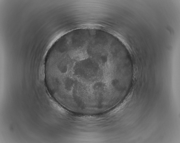 X0000111471075200907271307