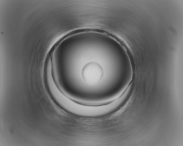 X0000111471077200907271306