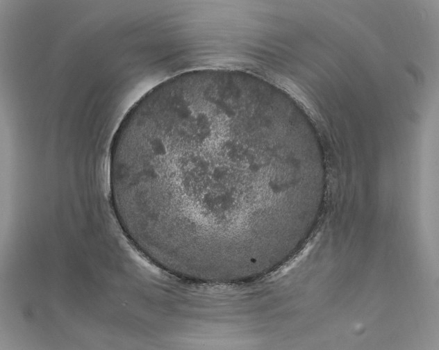 X0000111471079200907271306