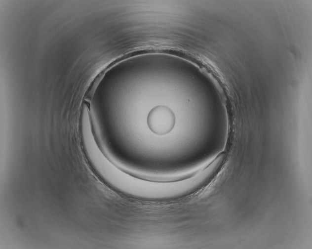 X0000111471081200907271306