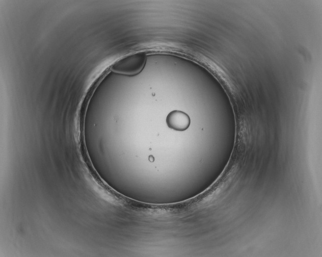 X0000111471082200907271306