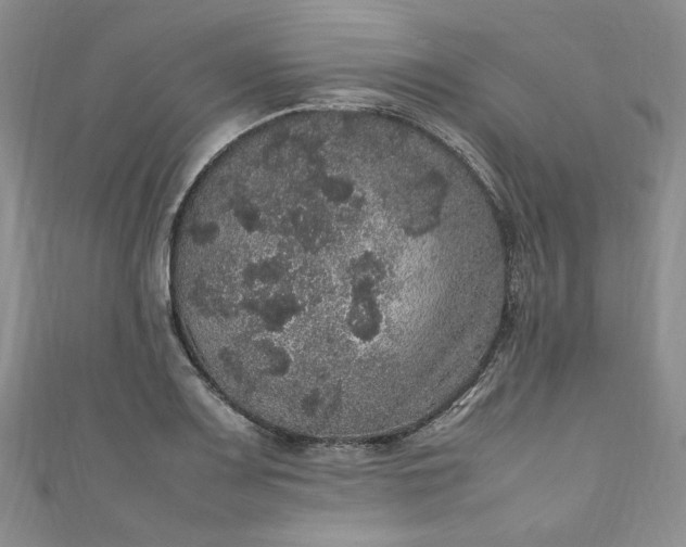 X0000111471083200907271306