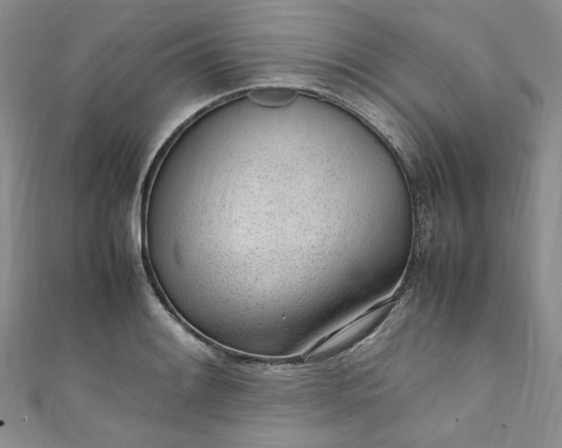 X0000111471084200907271306