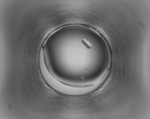 X0000111471089200907271306