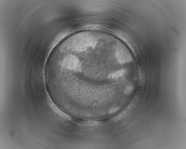 X0000111471090200907271306