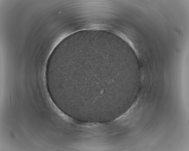 X0000111471091200907271306