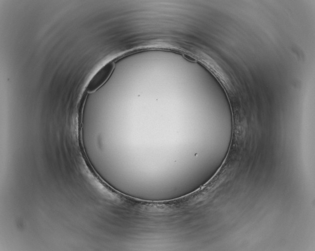 X0000111471092200907271306