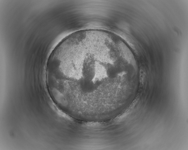 X0000111471094200907271306