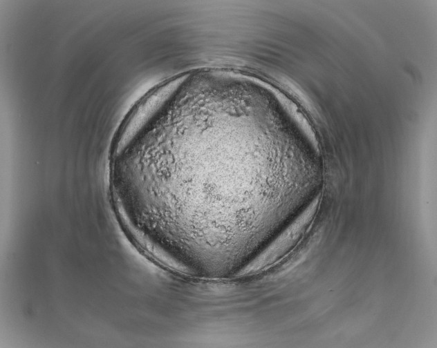 X0000111471095200907271306