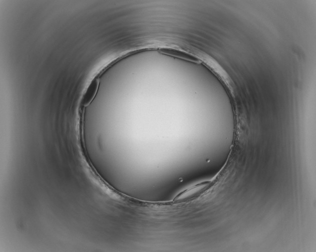 X0000111471096200907271306