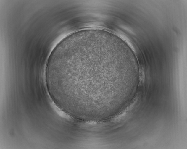 X0000111471098200907271306