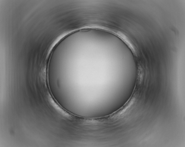 X0000111471100200907271306