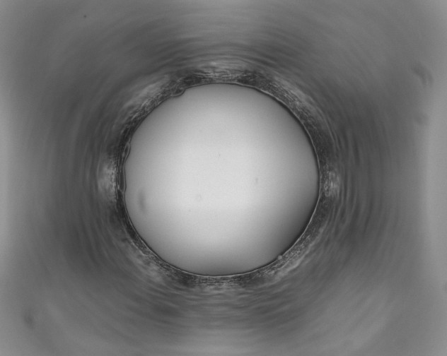 X0000111471108200907271306